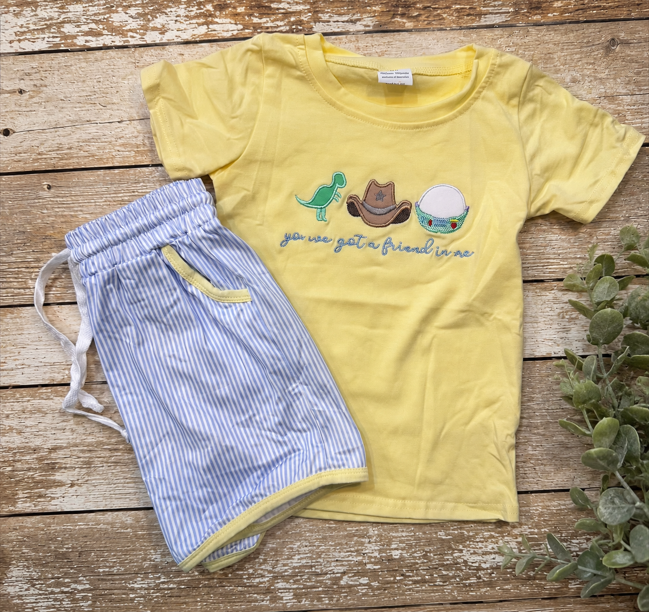 Cowboy Dinosaur Boys Shorts Set